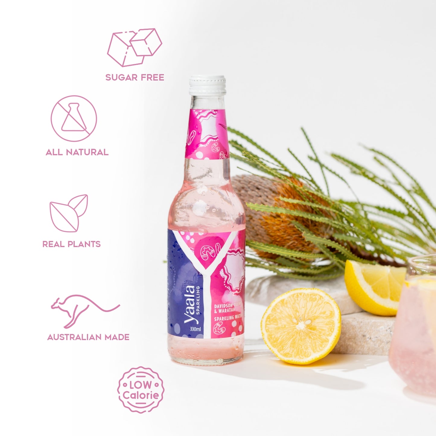 Davidson Plum & Waratah